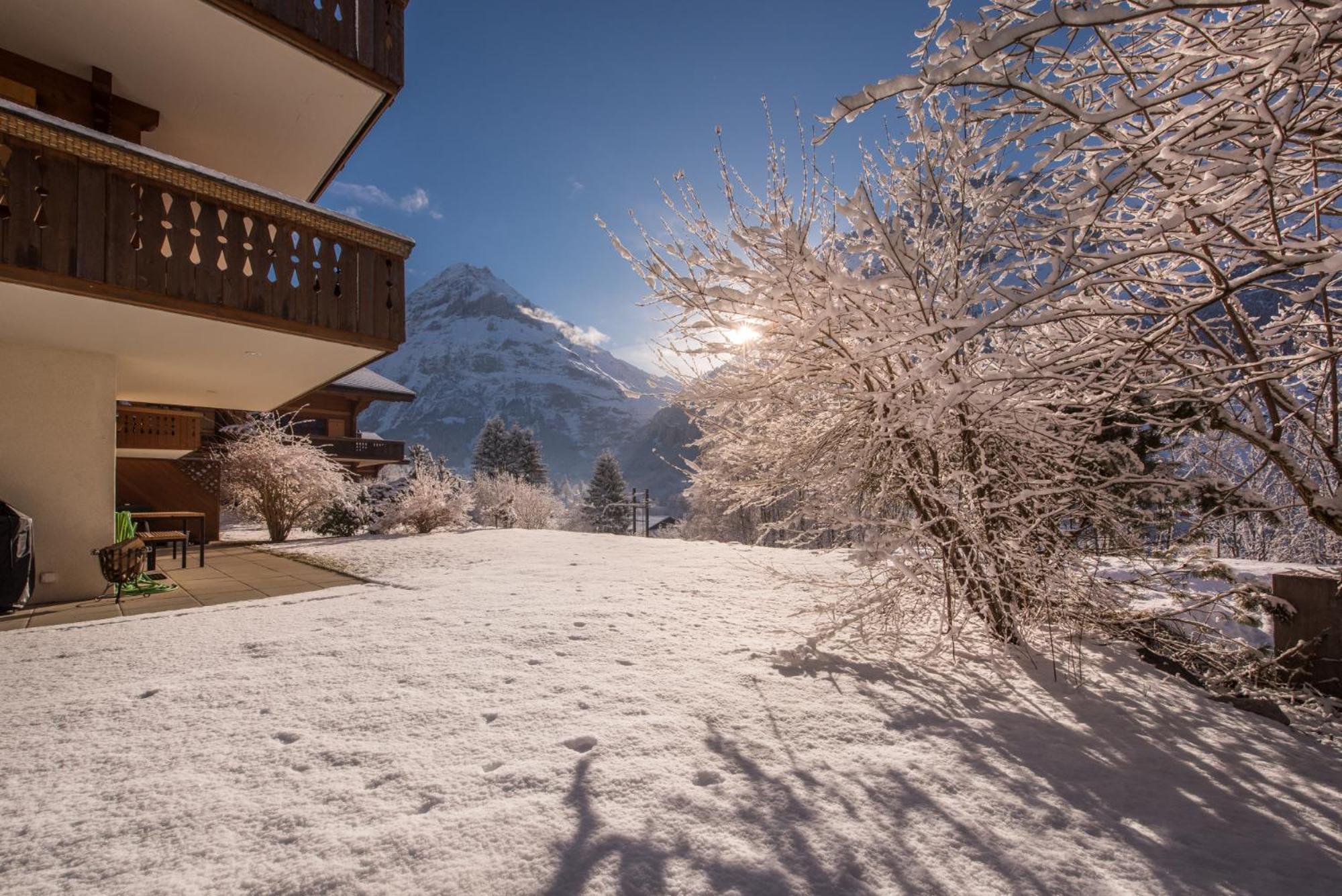 Billabong Apartment Grindelwald Exterior photo